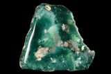 Polished Mtorolite (Chrome Chalcedony) - Zimbabwe #148223-1